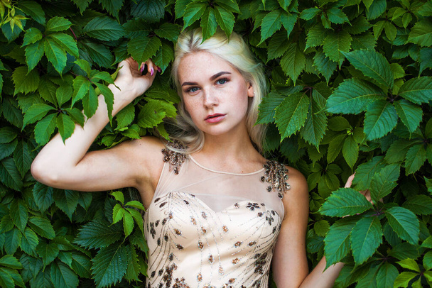 Portrait of a young beautiful blonde woman in ivy, summer park outdoors - Foto, Imagem