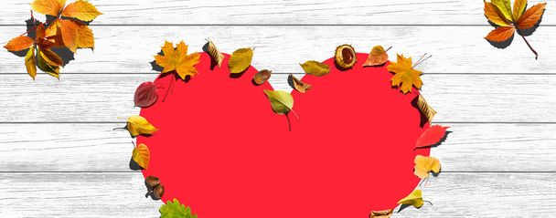 Fall Fashion, Vintage. Maple Leaf. Autumn Arrives. Minimal, Vanilla Pastel Background. Design Art Concept, Creative Sweet Style. - Photo, Image