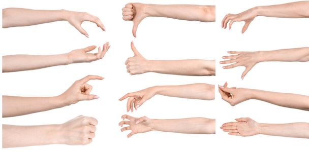 Múltiples imágenes establecen las manos caucásicas femeninas aisladas fondo blanco que muestra diferentes gestos. Collage de manos de una chica con manicura - Foto, imagen