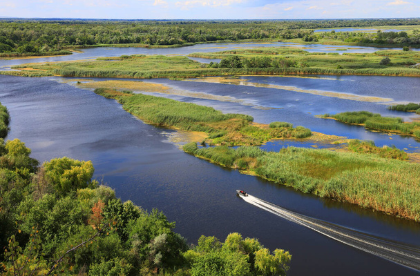 Μηχανοκίνητο σκάφος επιπλέει μεταξύ των πράσινων νησιών κατά μήκος του δέλτα του ποταμού κατά τη θερινή ημέρα, Ουκρανία - Φωτογραφία, εικόνα