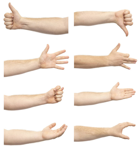 Kollaasi miesten käsissä osoittaa erilaisia eleitä eristetty valkoisella taustalla. Joukko erilaisia käsi eleitä - Valokuva, kuva