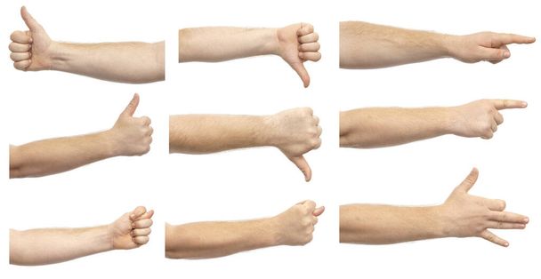 白い背景に孤立したさまざまなジェスチャーを示す男性の手のコラージュ。様々な手のジェスチャーのセット - 写真・画像