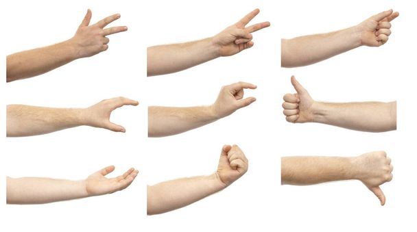 Collage of male hands showing various gestures isolated on white background. A set of various hand gestures - Photo, Image
