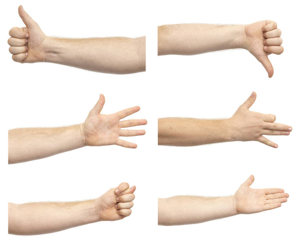 Kollaasi miesten käsissä osoittaa erilaisia eleitä eristetty valkoisella taustalla. Joukko erilaisia käsi eleitä - Valokuva, kuva