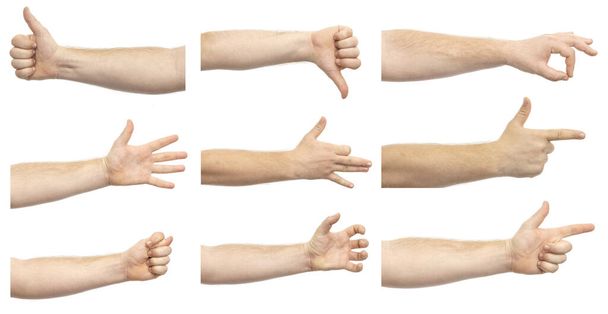 Collage de manos masculinas mostrando varios gestos aislados sobre fondo blanco. Un conjunto de varios gestos de la mano - Foto, imagen
