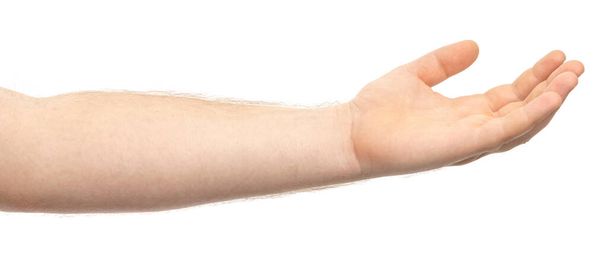 Männliche Hand mit Geste, die etwas oder jemanden isoliert auf weißem Hintergrund hält - Foto, Bild