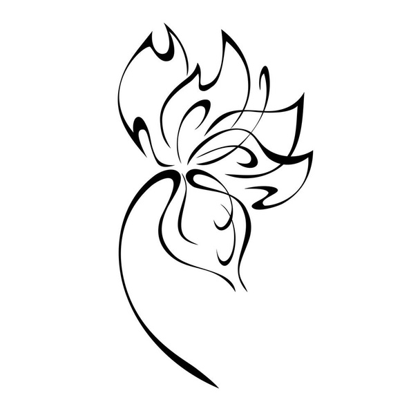 decorative abstract flower on a curved stem in black lines on a white background - Vector, Image