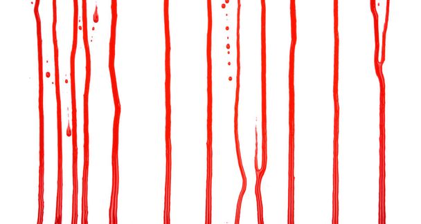 Goteando sangre aislada sobre fondo blanco. Flujo de salpicaduras de sangre roja, gotas y rastro - Foto, imagen