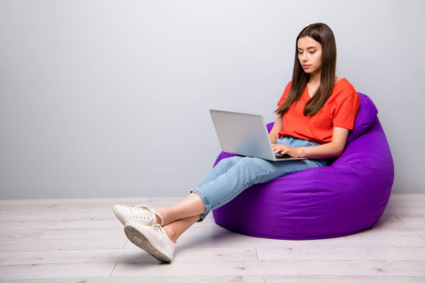 Portrait of her she nice attractive lovely focused smart clever girl IT company startup founder sitting in bag chair writing emal creating presentation light gray pastel color wall - Foto, afbeelding