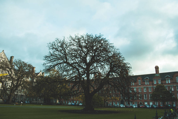 Campanile dentro do campus da faculdade trindade em Dublin, Irlanda - Foto, Imagem