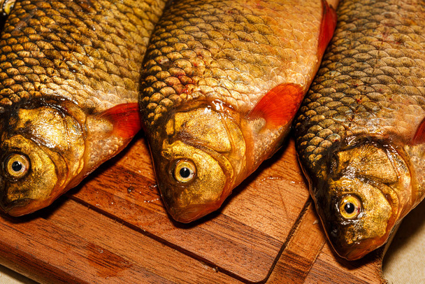 Yakından yeni yakalanmış balıklar. Kesme tahtasındaki sarı sazan balığı. Tünek, çipura, haç - Fotoğraf, Görsel
