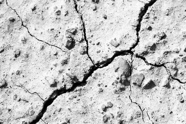 Bianco essiccato e cracking macinato. sfondo erosione terra. superficie della parete secca incrinata. texture bianca naturale screpolata - Foto, immagini
