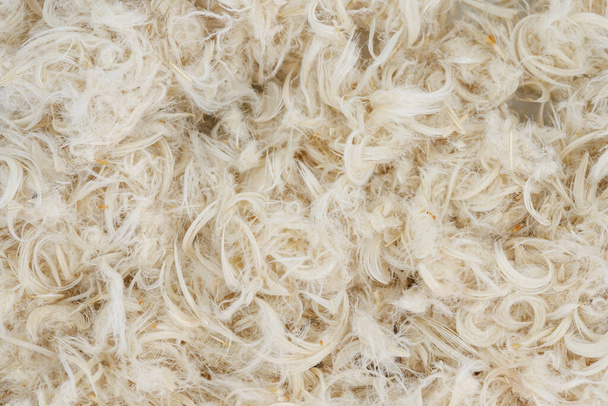 Penas de ganso branco e penugem de travesseiros textura - Foto, Imagem