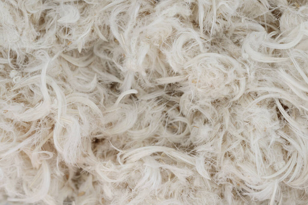 Plumas de ganso blanco y pelusa de almohadas textura - Foto, Imagen