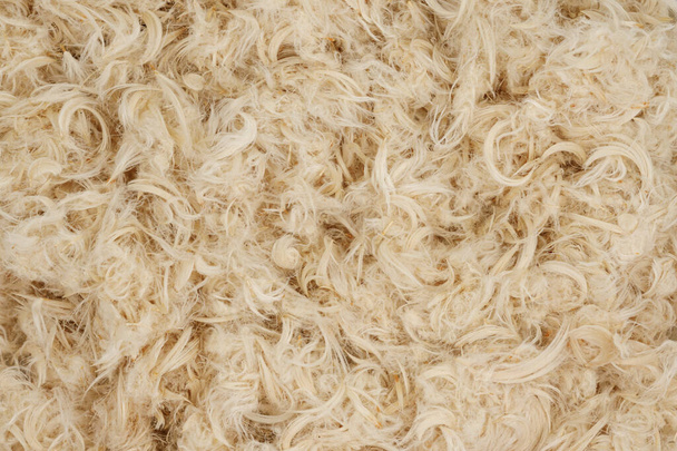 Piume d'oca bianca e lanugine dalla texture cuscini - Foto, immagini