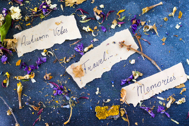 Autumn vibes travel memories, dried plants and flowers, copy paste space, letter and words on the old paper, herbarium theme. - Photo, Image