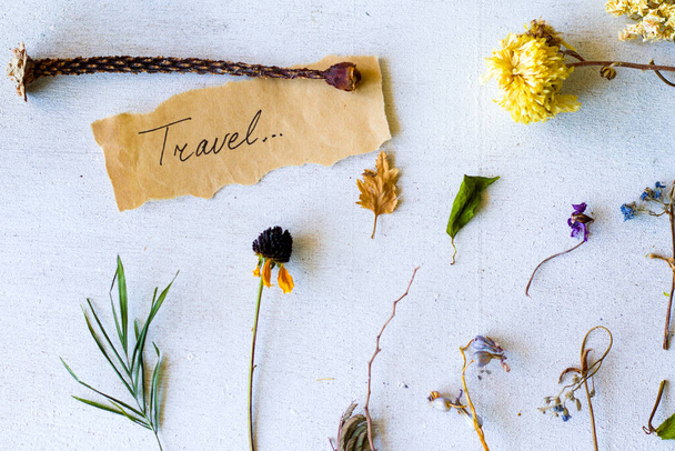 Őszi rezgések utazási emlékek, szárított növények és virágok, másolás paszta hely, levél és szavak a régi papír, herbárium téma. - Fotó, kép