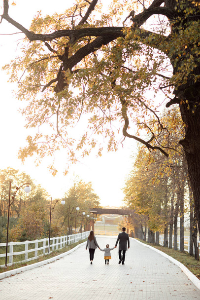 Mother, father hold hands daughter and walking in the autumn park. Young family spending time together on vacation, outdoors. The concept of family holiday - Φωτογραφία, εικόνα