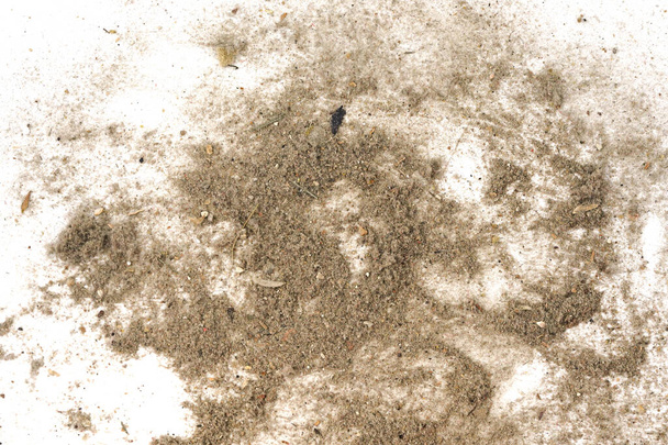 Çöp, toz, toprak beyaz bir arkaplanda izole edilmiş. Elektrik süpürgesinden çıkan çöp dokusu - Fotoğraf, Görsel