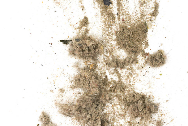 Müll, Staub, Schmutz isoliert auf weißem Hintergrund. Textur des Mülls aus dem Staubsauger - Foto, Bild