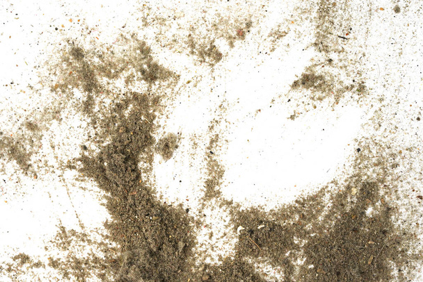 Déchets, poussière, saleté isolés sur un fond blanc gros plan. texture des ordures d'un aspirateur - Photo, image