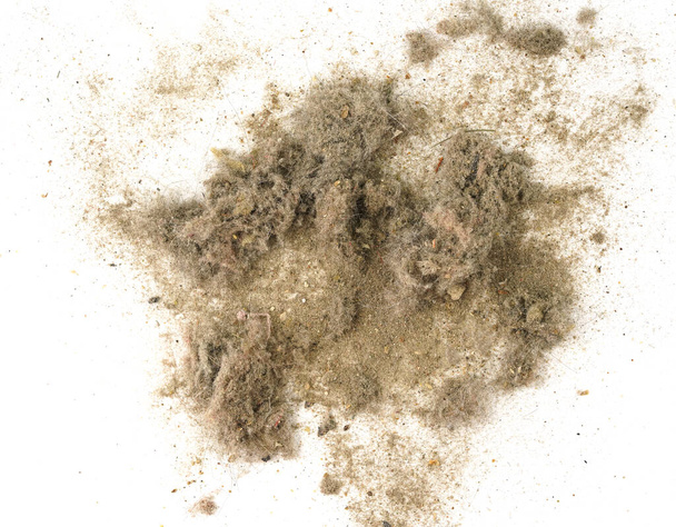 Afval, stof, vuil geïsoleerd op een witte achtergrond close-up. textuur van afval van een stofzuiger - Foto, afbeelding