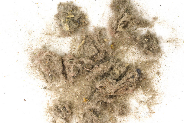 Trash, dust, dirt isolated on a white background closeup. texture of garbage from a vacuum cleaner - Photo, image