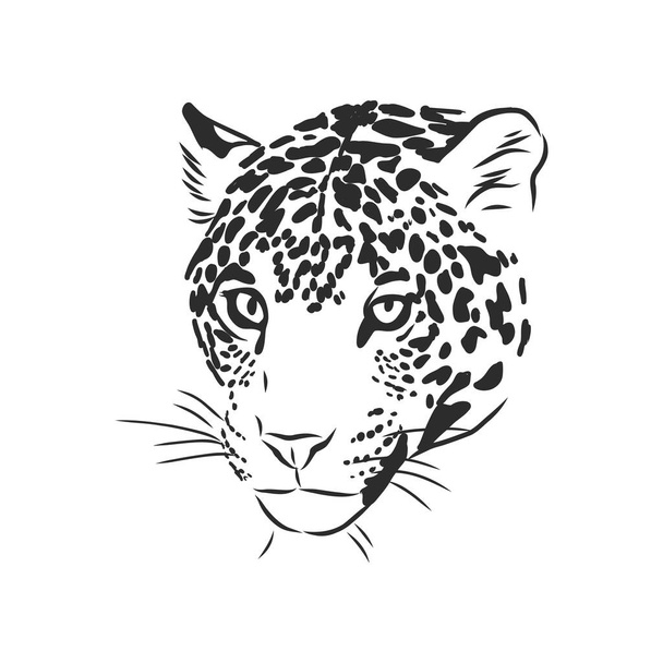 Jaguar. Handgezeichnete Skizze Illustration isoliert auf weißem Hintergrund - Vektor, Bild