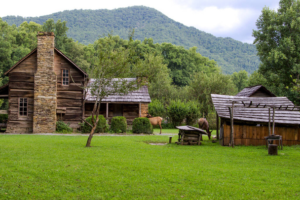 Elk grazen in het Great Smoky Mountains National Park voor een historische hut in het Ocanaluftee Visitor Center in Cherokee, North Carolina. Dit is een historische structuur in een nationaal park en geen particulier eigendom of woning..  - Foto, afbeelding