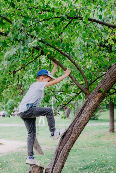 boy climbs a tree. children in the park. kids games on the street - Фото, изображение