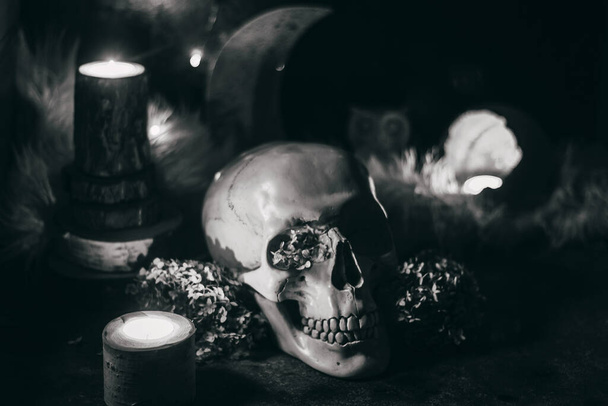 カルト神秘的な儀式ハロウィン魔女のシーン-人間の頭蓋骨、キャンドル、ドライフラワー、月とフクロウ - 写真・画像