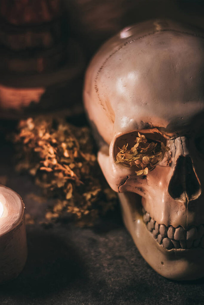 Scena mistica occulta di stregoneria di Halloween rituale: teschio umano, candele, fiori secchi, luna e gufo - Foto, immagini
