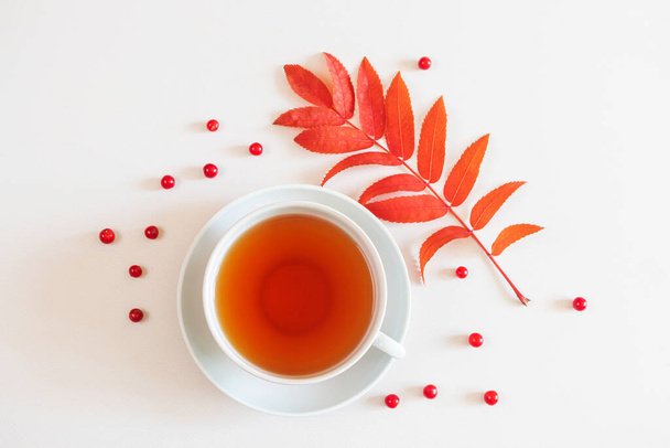 Otoño plano yacía: hojas de serbal rojo, bayas rojas, una taza de té sobre un fondo pastel neutro. Vista superior, espacio de copia. - Foto, Imagen
