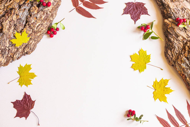 Piatto d'autunno: corteccia d'albero, foglie d'acero gialle e rosse, mirtilli rossi su sfondo pastello neutro. Vista dall'alto, copia spazio. - Foto, immagini