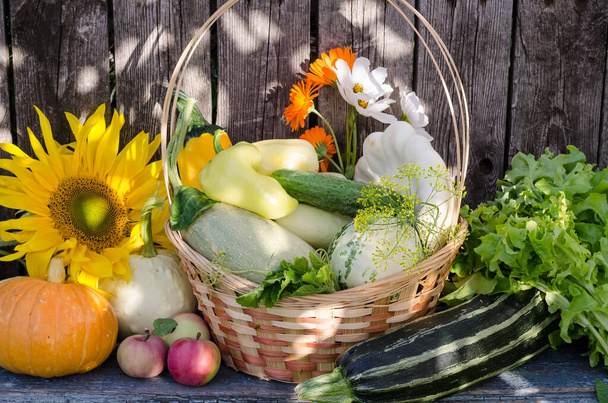 Harvest seasonal vegetables in a wicker basket-squash, pumpkin. - Fotografie, Obrázek
