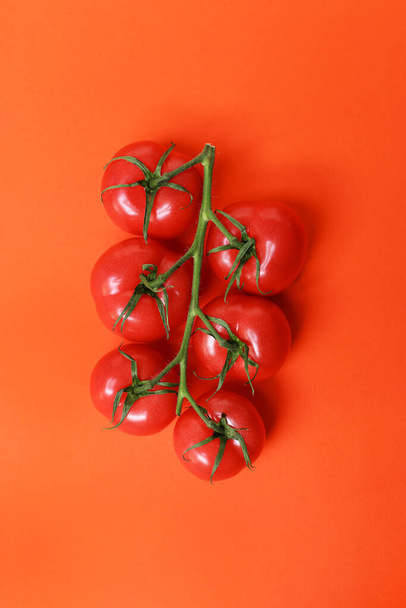 помідор на червоному тлі
 - Фото, зображення