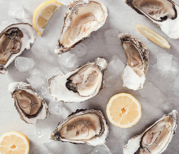 Seafood. Delicious oyster with lemon - Фото, изображение