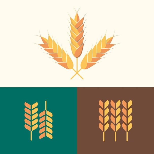 Conjunto de diseño plano vectorial de trigo, plantilla de diseño para productos agrícolas ecológicos, cosecha, grano, panadería, alimentos saludables. 3 variaciones de estilo. - Vector, Imagen