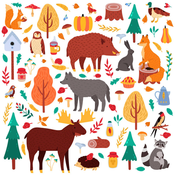 Animais de outono dos desenhos animados. Aves e animais da floresta bonito, lobo pato alce e esquilo, floresta selvagem fauna isolado vetor ilustração ícones conjunto - Vetor, Imagem