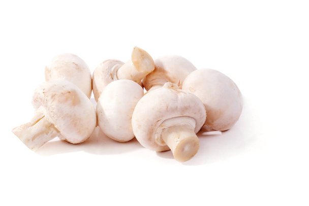Heap of mushrooms on a white background - Photo, Image