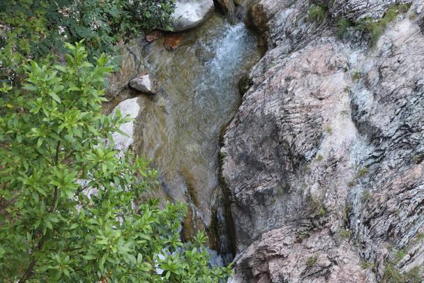 Живописный природный ландшафт с красивыми каскадами горных ручьев среди пышных зарослей леса. Идиллический зеленый пейзаж с небольшой речкой  - Фото, изображение