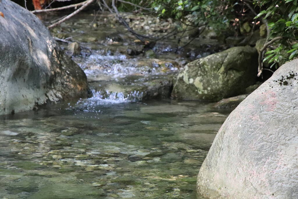 Paisagem natural cênica com belas cascatas de riacho de montanha entre exuberantes moitas na floresta. Paisagem verde idílica com pequeno rio  - Foto, Imagem