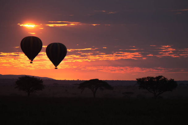 Morgendämmerung im Serengeti Nationalpark, Tansania, Afrika. Heißluftballons am Himmel. Afrikanisches Panorama - Foto, Bild