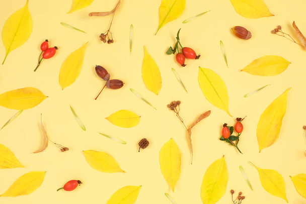 Vzor z podzimního spadaného listí, žaludy - Fotografie, Obrázek