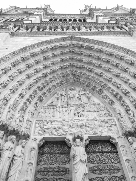 Notre Dame París
 - Foto, Imagen
