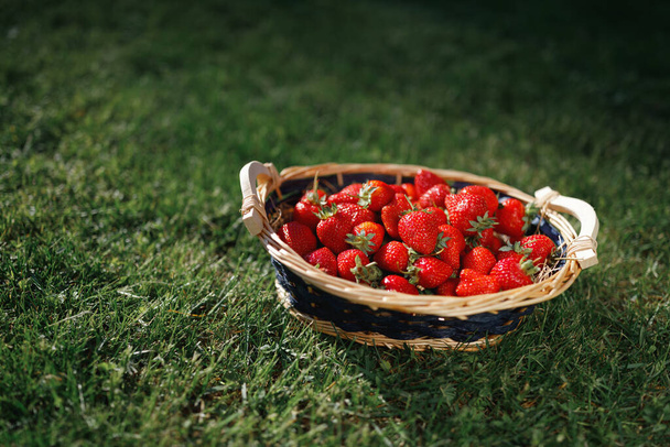 cesta de fresas sobre fondo de césped verde - Foto, Imagen
