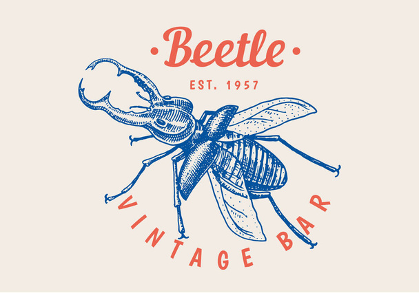 Logo hmyzu. Vintage Bug Beetle label for bar or tattoo studio. Emblémské odznaky, typografie triček. Rytá vektorová ilustrace. - Vektor, obrázek
