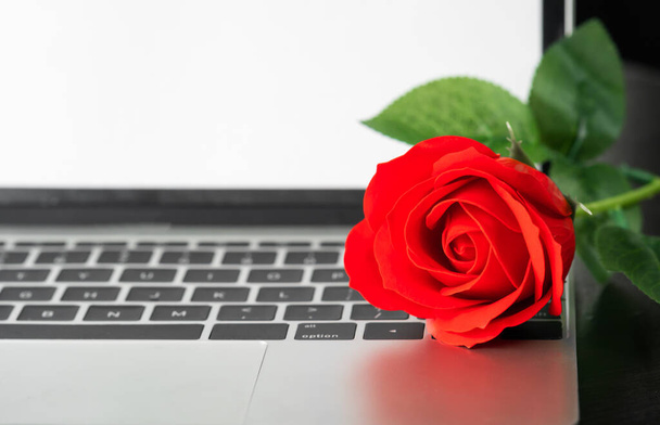 Rosa rossa e il computer portatile sul ponte, concetto di San Valentino - Foto, immagini