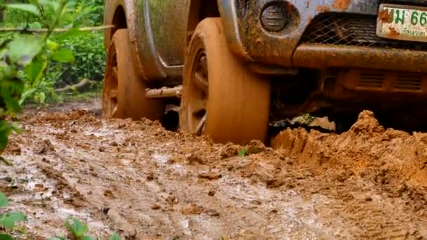 Een close-up van een pick-up truck met vier wielen die in de modder vast zit en probeert uit het moeras te komen.. - Video