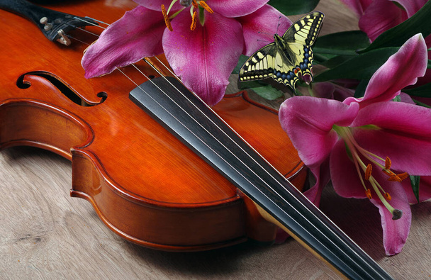 skrzypce i kwiaty lilii na drewnianym tle - Zdjęcie, obraz